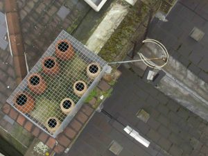 Roof Surveys with Drones - London Business