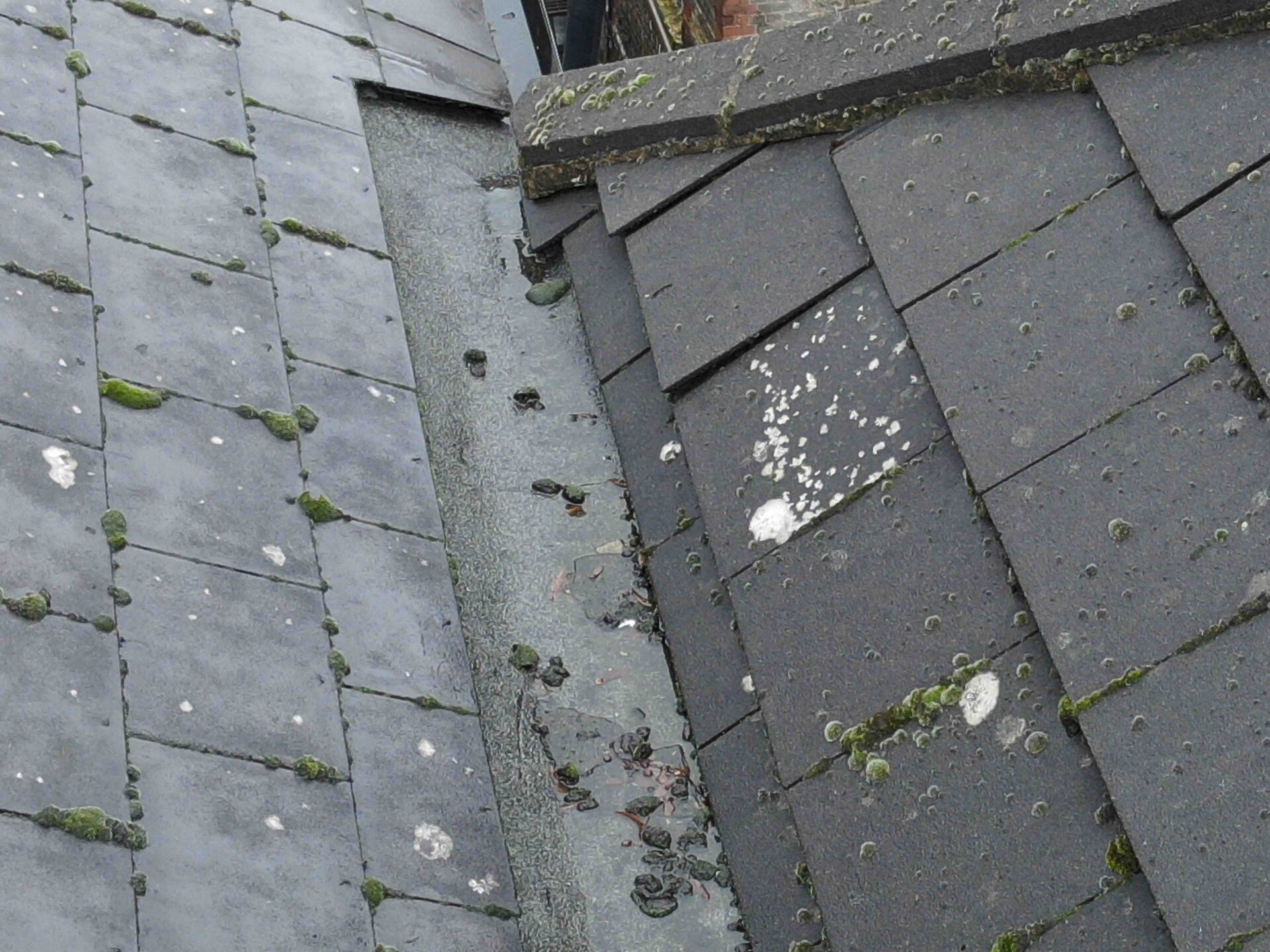 looking into the gutter sections